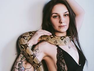 model